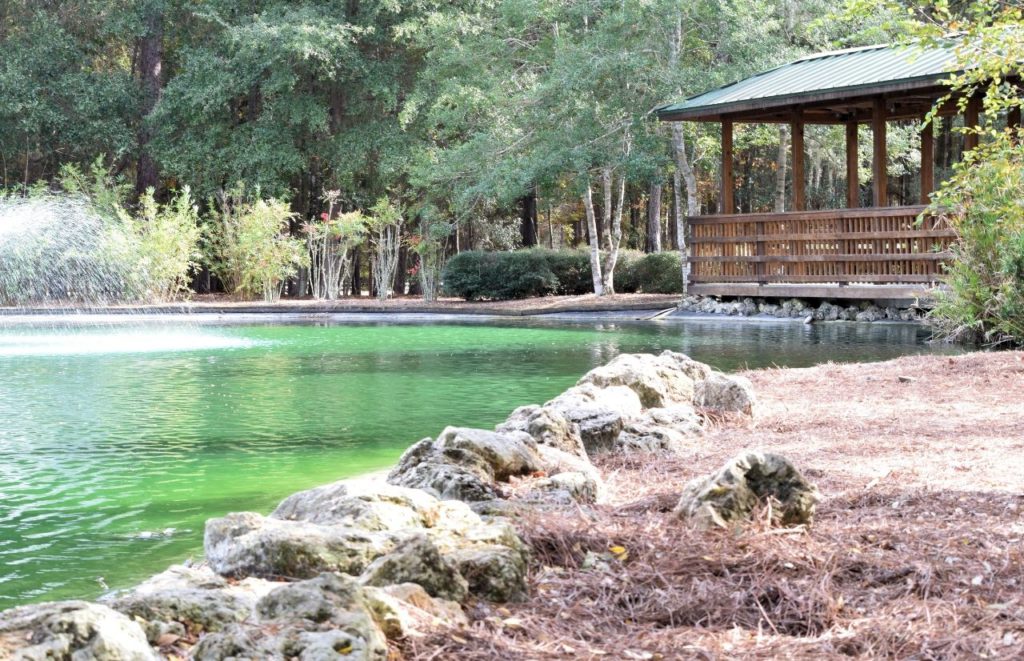 The water and dock at Sholom Park in Ocala, Florida. Keep reading for more places to take a perfect day trip from Orlando, Florida. 