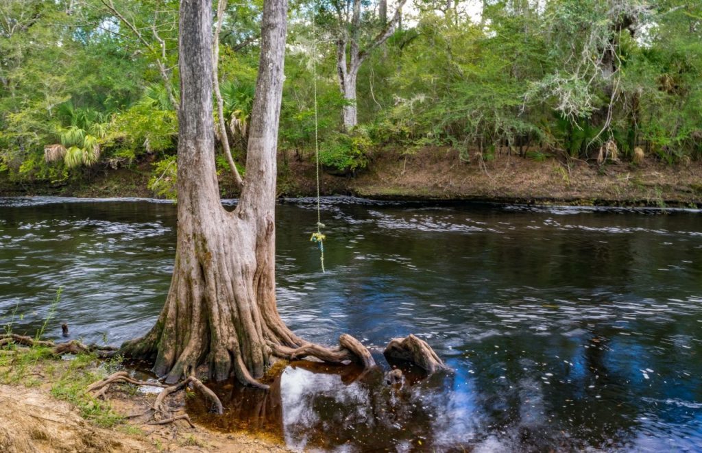 A rope swing hangs over a river in Steinhatchee, Florida. Keep reading for more places to take a perfect day trip from Orlando, Florida. 
