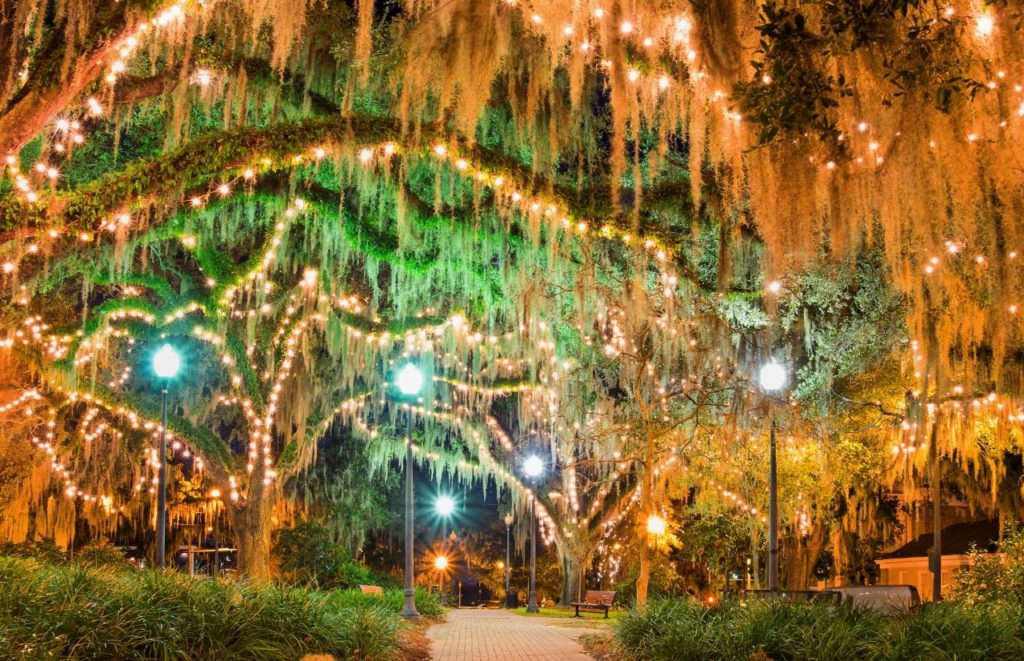Tallahassee Florida downtown with lit trees. Keep reading to find out the best Gainesville daytrips.