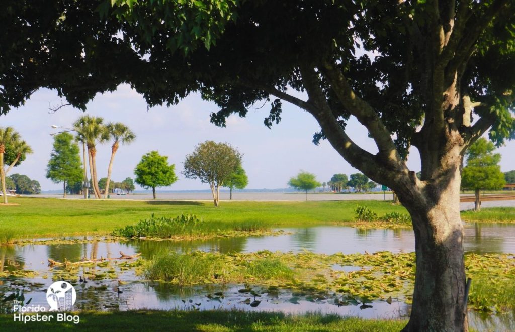 Venetian Gardens in Leesburg, Florida.  Keep reading to learn more Gainesville daytrips.