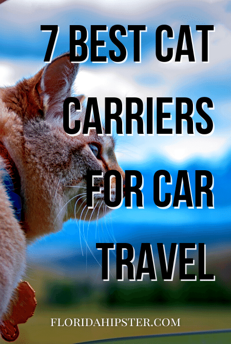 7 best cat carriers for car travel