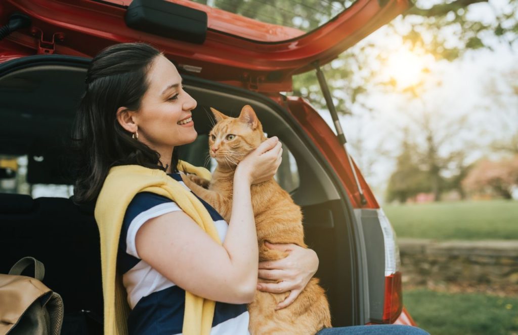 Best cat carrier for long distance car travel lady pet owner holding brown cat