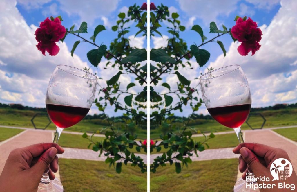 Florida winery with red wine in wine glasses raised in the air. Keep reading to learn more about the best places to celebrate birthday in Orlando.