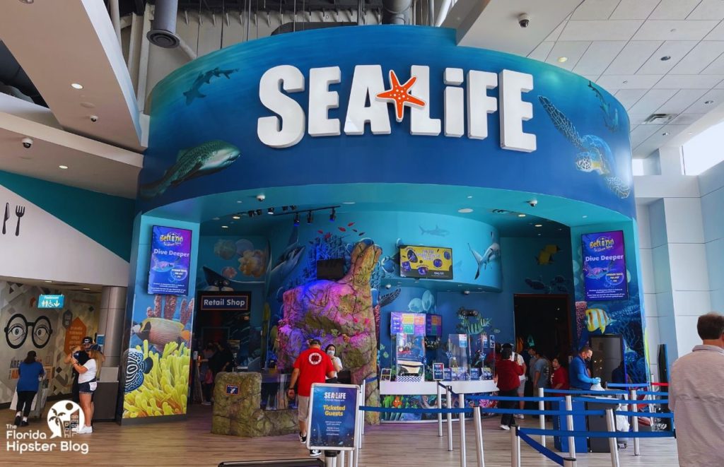 SeaLife Aquarium in Orlando Florida. Keep reading to find out more about an Orlando itinerary.