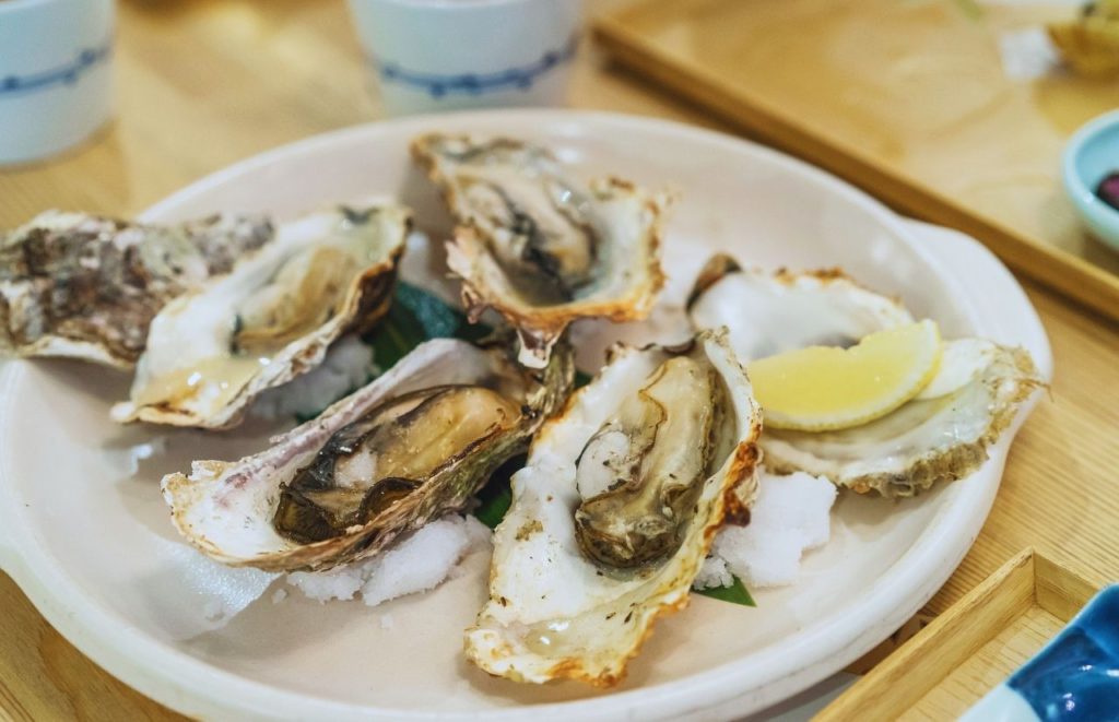 Oysters on wood table. Keep reading to get the best lunch in Tampa, Florida recommendations.