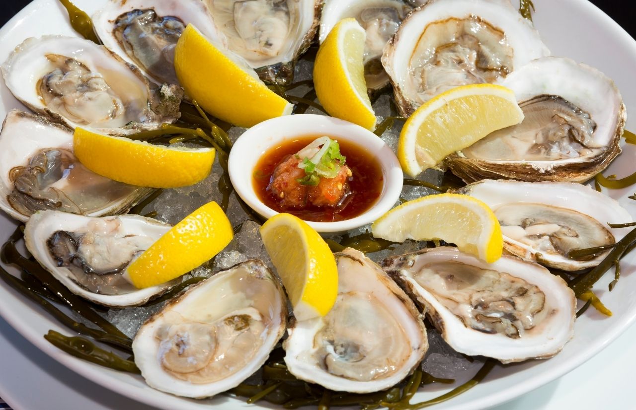 Top 10 Places to Get the BEST Oysters in Orlando TODAY! Florida Hipster