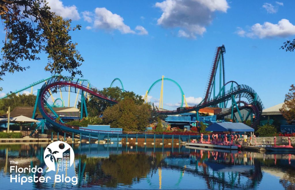 Best Things To Do In Orlando For Teenagers riding Mako roller coasters at SeaWorld Orlando. Keep reading to get the best 1 day Orlando itinerary and the best things to do in Orlando besides theme parks.
