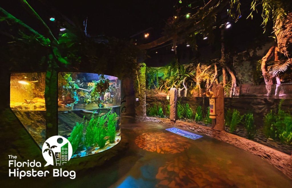 Things to Do in Orlando for Teens SeaLife Aquarium. Keep reading for more ideas on what to do in Orlando with teenagers. 