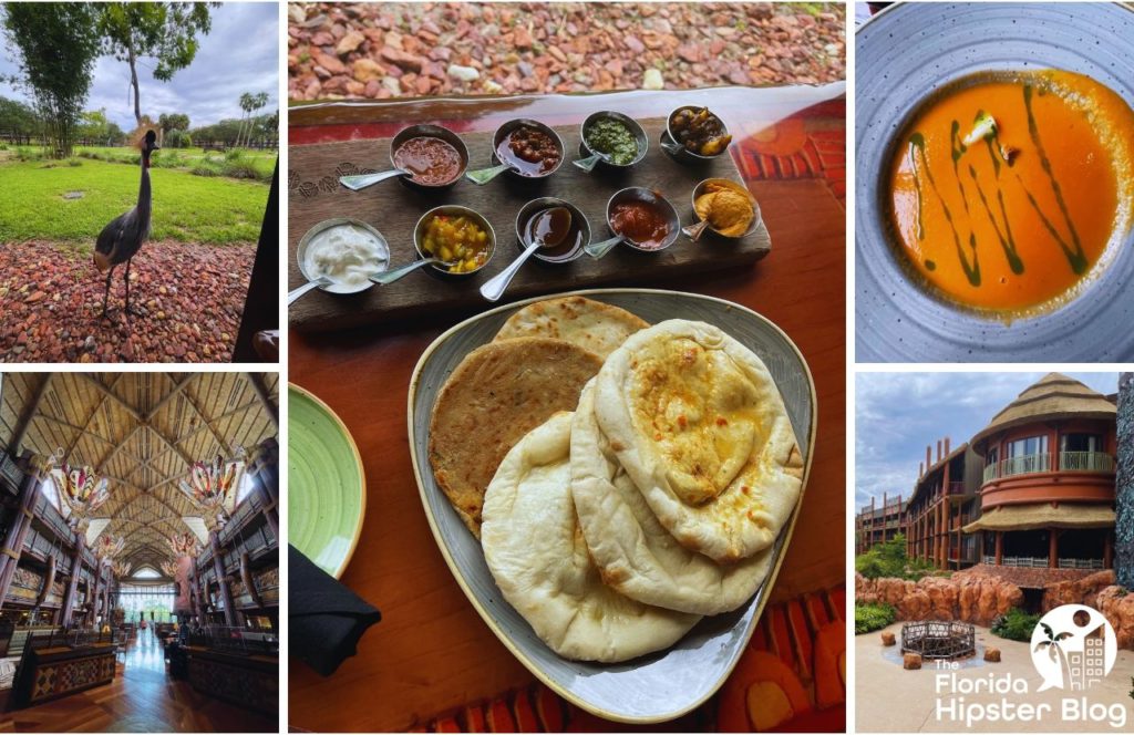 Sanaa Restaurant in Disney's Animal Kingdom Lodge Resort with a collage of photos of naan breads and dips, soup, animal watching on, and inside and outside views of the restaurant. Keep reading to discover all there is to know about things to do in Orlando tonight.