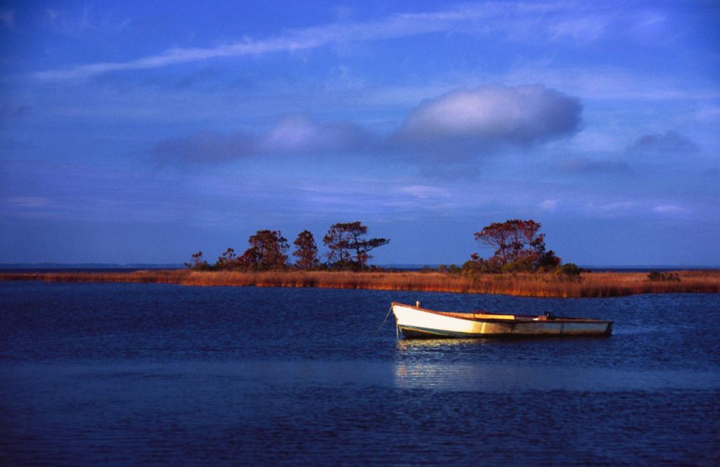 Boat in the middle of bay area of Apalachicola, Florida. Keep reading to discover more about the best things to do in Cape San Blas. 