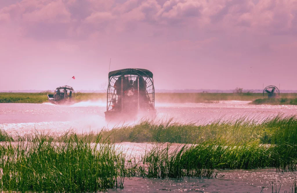 Boggy Creek Airboat speedign through the waters with pink skies. Keep reading to get the full guide on Gainesville daytrips.