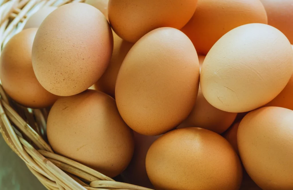 Brown Organic Chicken Eggs at The Dancing Goat Farm