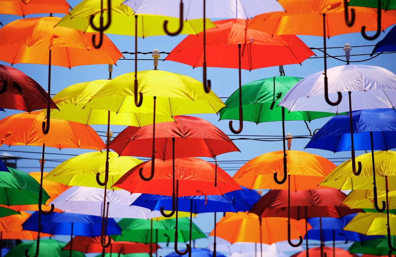 Can I bring umbrella on plane? Keep reading to learn how.