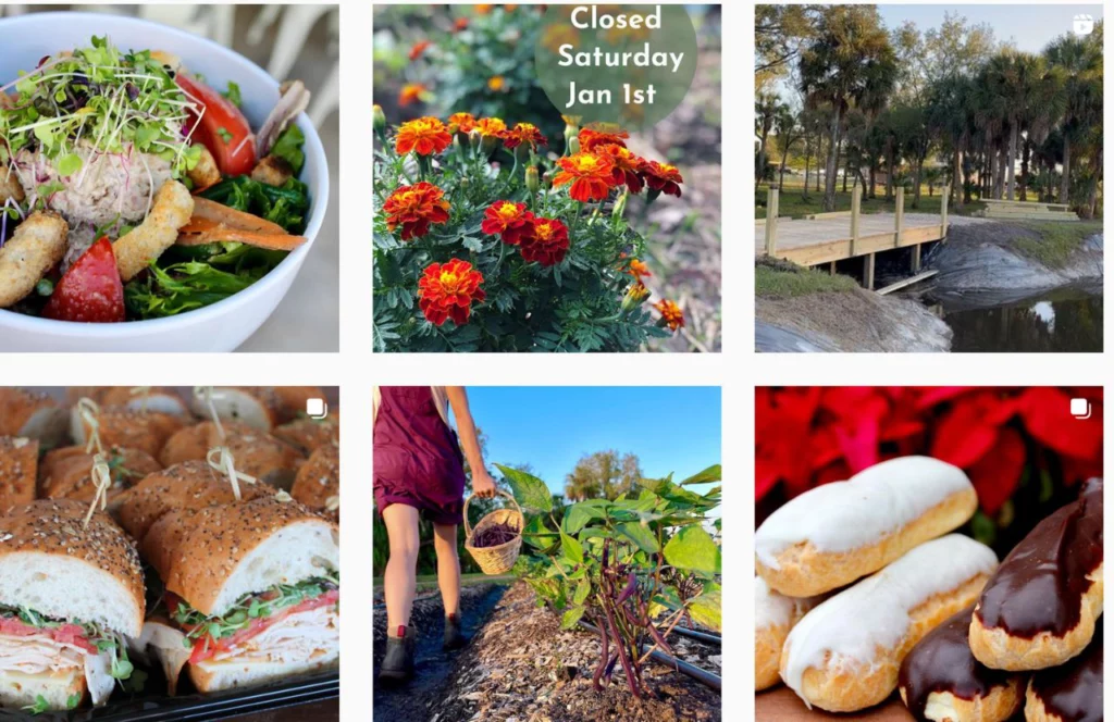 Fat Beet Farm Instagram Page