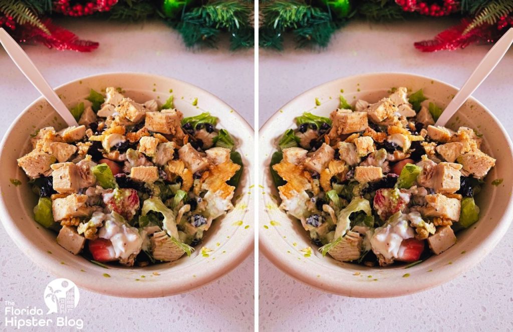 Greenbeat Salad Restaurant in Orlando Florida Chicken with Romaine Lettuce and Quinoa bowl. Keep reading to get the best lunch in Orlando!