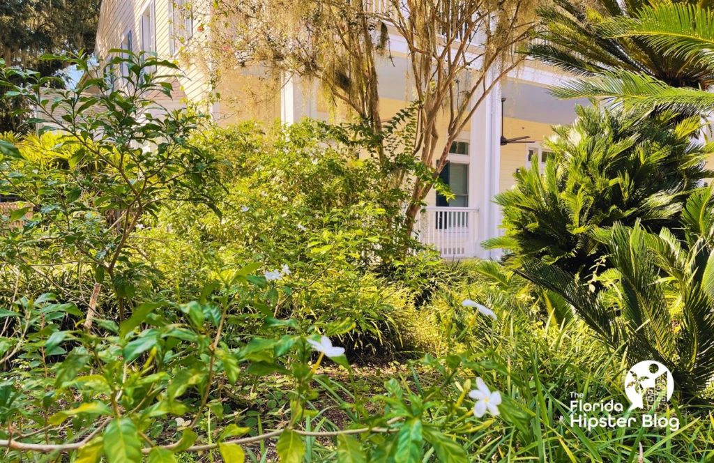 Exterior and foliage at Harry P Leu Gardens in Orlando, Florida. Keep reading to discover more about gardens in Orlando. 