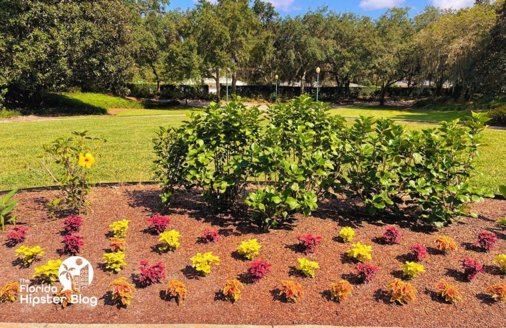 Harry P Leu Gardens in Orlando, Florida. Keep reading to learn all you need to know about gardens in Orlando.  
