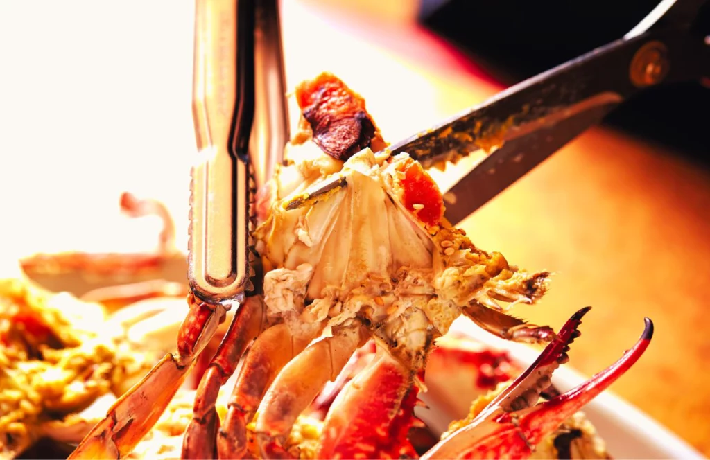 Crab legs are eaten with tongs and kitchen shears at The Mad Crab in Orlando, Florida. Keep reading for more places to get the best crab legs in Orlando, Florida.