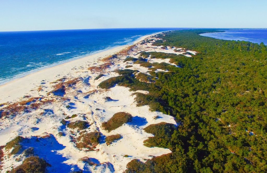 Cape San Blas, Florida coastline. Keep reading to learn about the best Florida beaches for a girl's trip!
