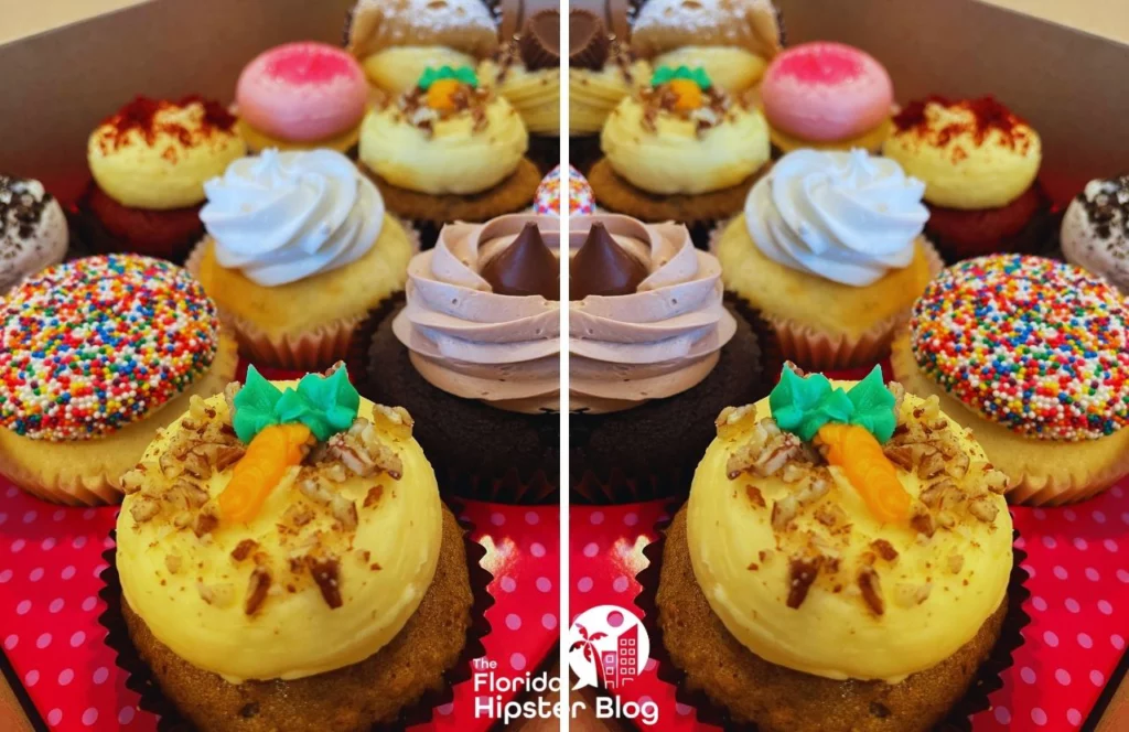 Small Cakes Cupcakes. Keep reading to get the best 1 day Orlando itinerary and the best things to do in Orlando besides theme parks.
