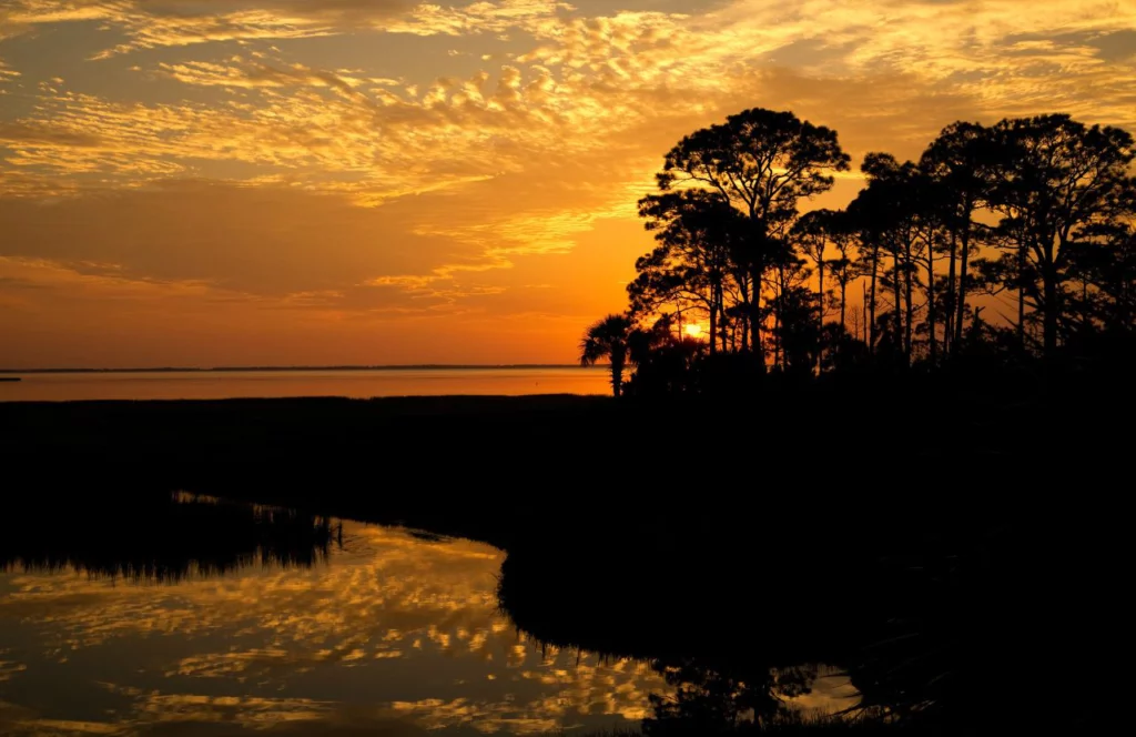 St. Joseph Bay State Buffer Preserve at sunset One of the best things to do in Cape San Blas, Florida