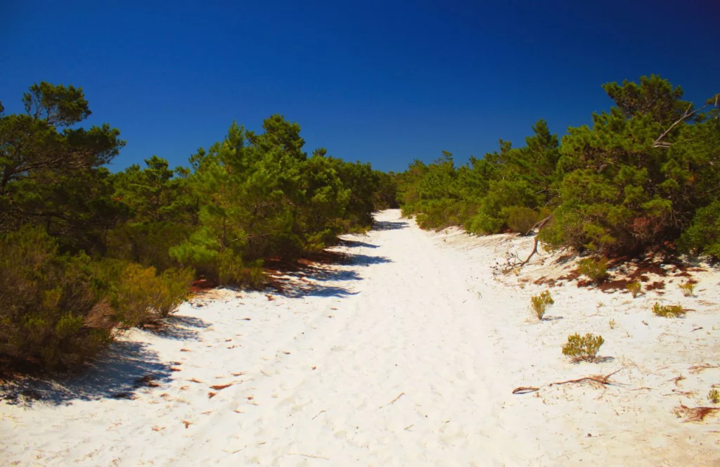 St. Joseph State Park One of the best things to do in Cape San Blas, Florida