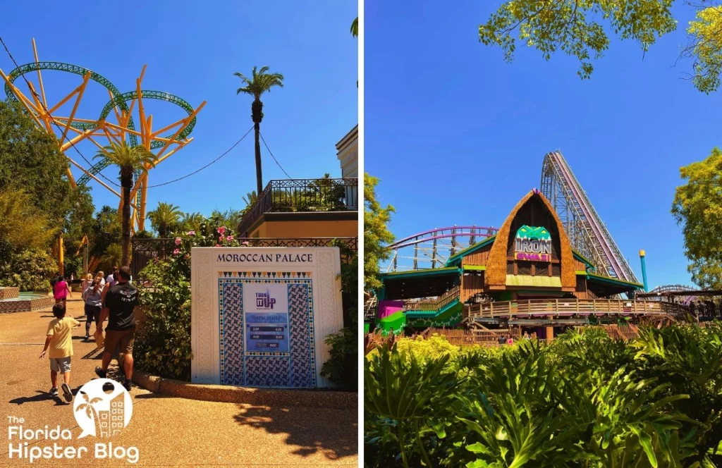 Things to do in Tampa Bay, Florida Busch Gardens Cheetah Hunt and Gwazi Roller Coasters