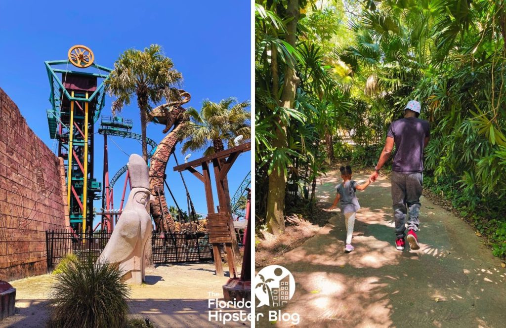 Things to do in Tampa Bay, Florida Busch Gardens Cobra’s Curse Roller Coaster next to dad walking daughter. Keep reading to learn more about the best things to do for Independence Day in Florida. 