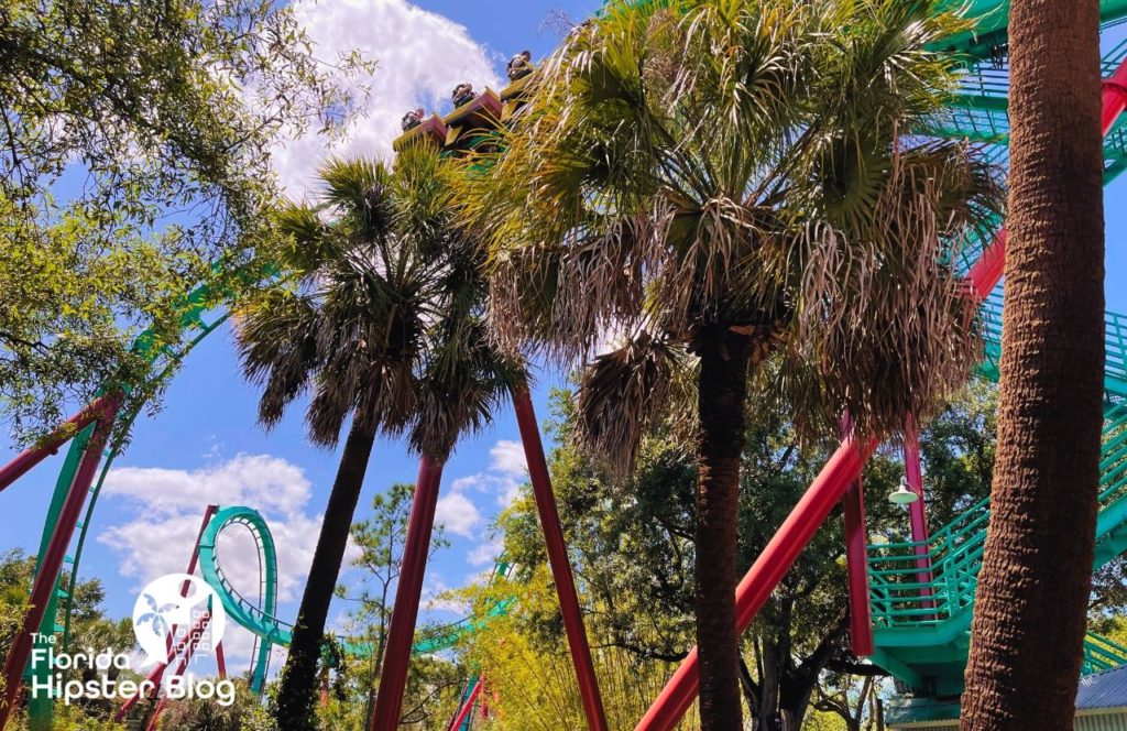 Things to do in Tampa Bay, Florida Busch Gardens Kumba Roller Coaster. Keep reading to get the best days trips from The Villages, Florida.