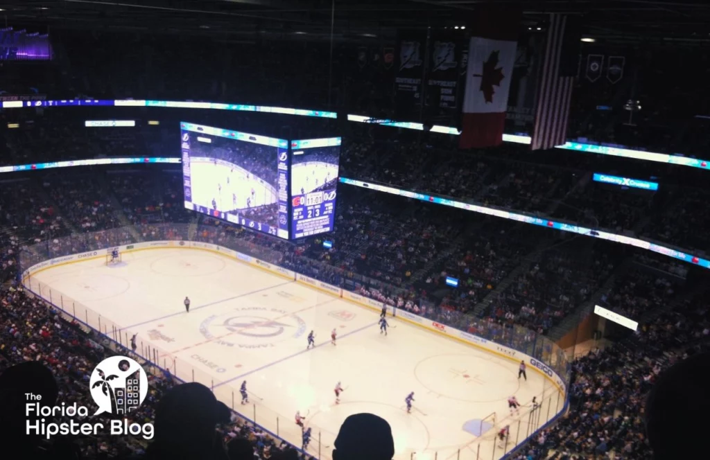 Things to do in Tampa Bay, Florida Tampa Bay Lightning Championship Game. Keep reading to find out more ideas for your next day trip from Gainesville.