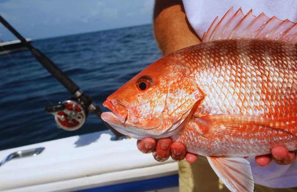 White male holding red snapper on boat in Gulf of Mexico Go Fishing it's One of the best things to do in Cape San Blas, Florida