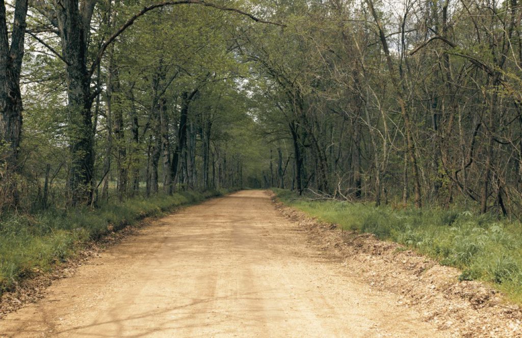 Haunted Dirt Road Drive Thru in Florida. The Haunted Road: A Drive-Thru Halloween Experience. Keep reading to get the best things to do in Florida for Halloween and Fall!