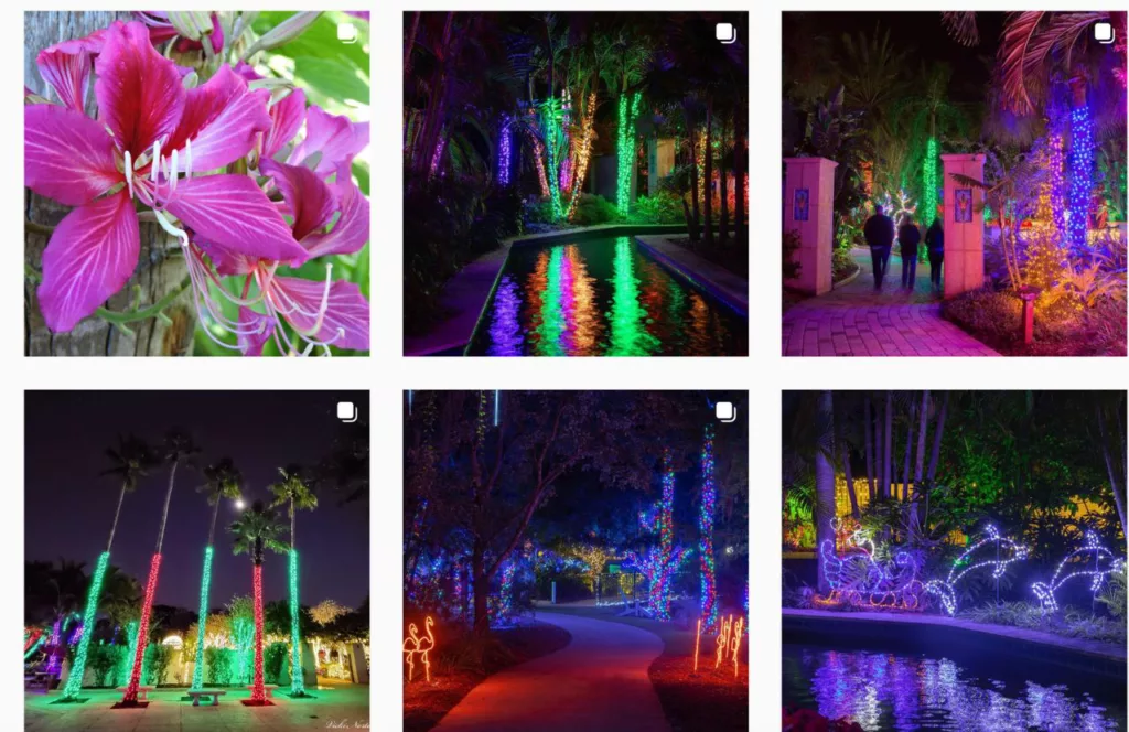 Instagram Page of Florida Botanical Gardens. Keep reading to learn more about Christmas in Tampa events. 