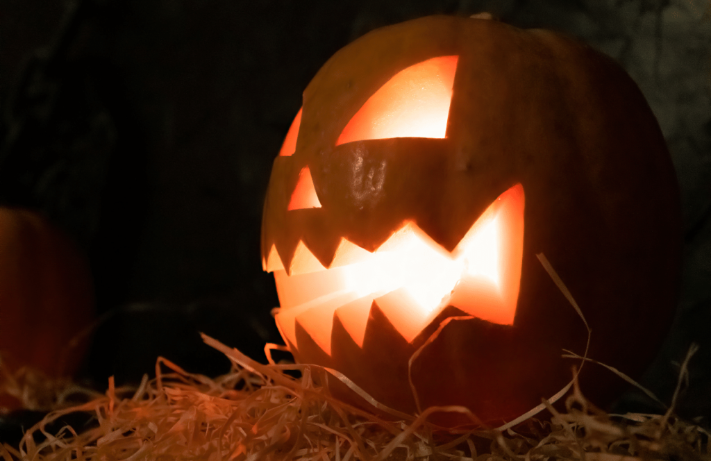 Lit Jack O Lantern Pumpkin. Keep reading to get the best things to do in Florida for Halloween and Fall!