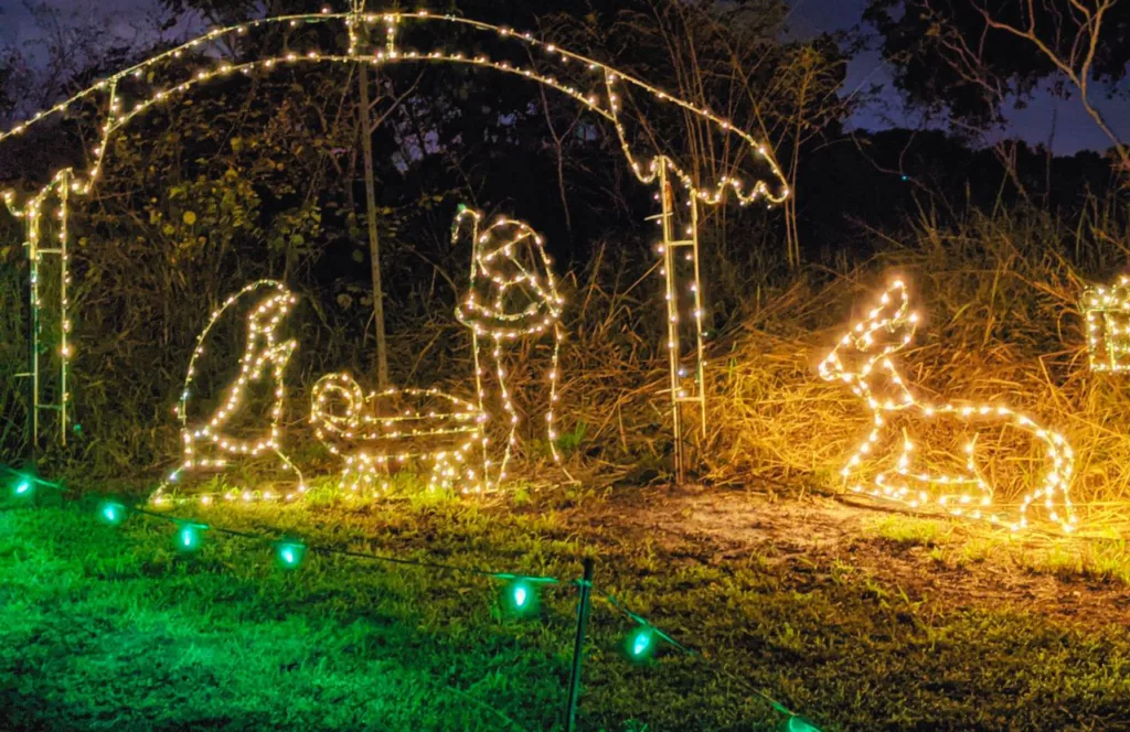 Nativity Scene at Night of Shimmering Lights at Sunkissed Acres in Dover, Florida. Keep reading Florida Hipster to get the best Christmas Lights in Tampa, Florida 