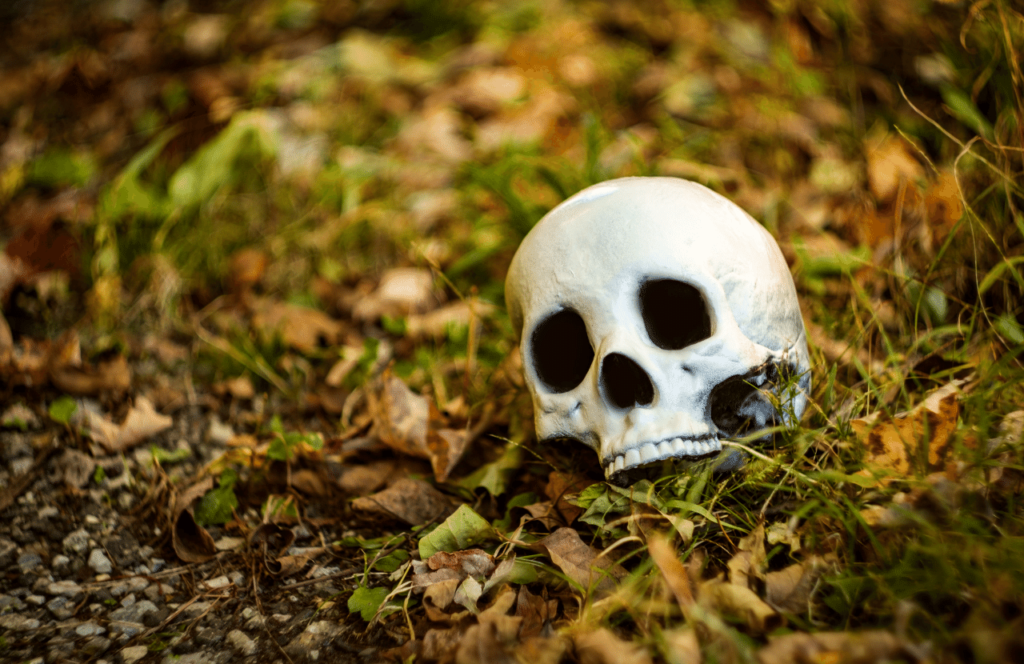 Skeleton on the grass for Halloween in Florida in Petrified Forest in Altamonte Springs, Florida. Keep reading to get the best things to do in Florida for Halloween and Fall!