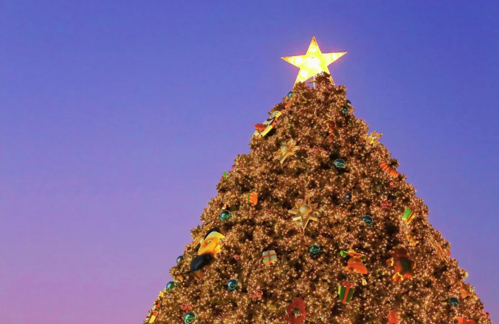 Holiday Tree in the night sky. Keep reading for the best things to do in Gainesville for Christmas. 