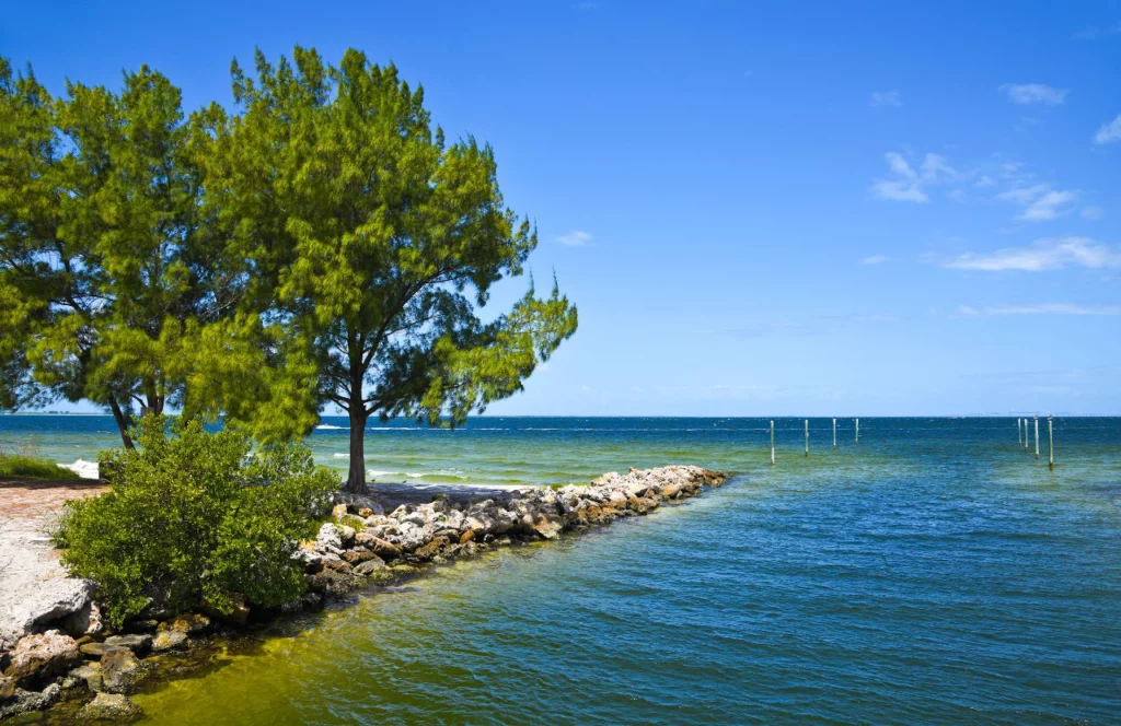 Picnic Island Park of rocky shores with trees alongside blue and green waters. Keep reading to get the best places to watch sunset in Tampa.