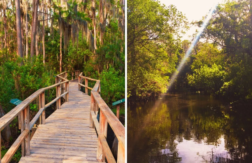 Hiking Nature Preserve Trail. One of the best free things to do in Tampa, Florida