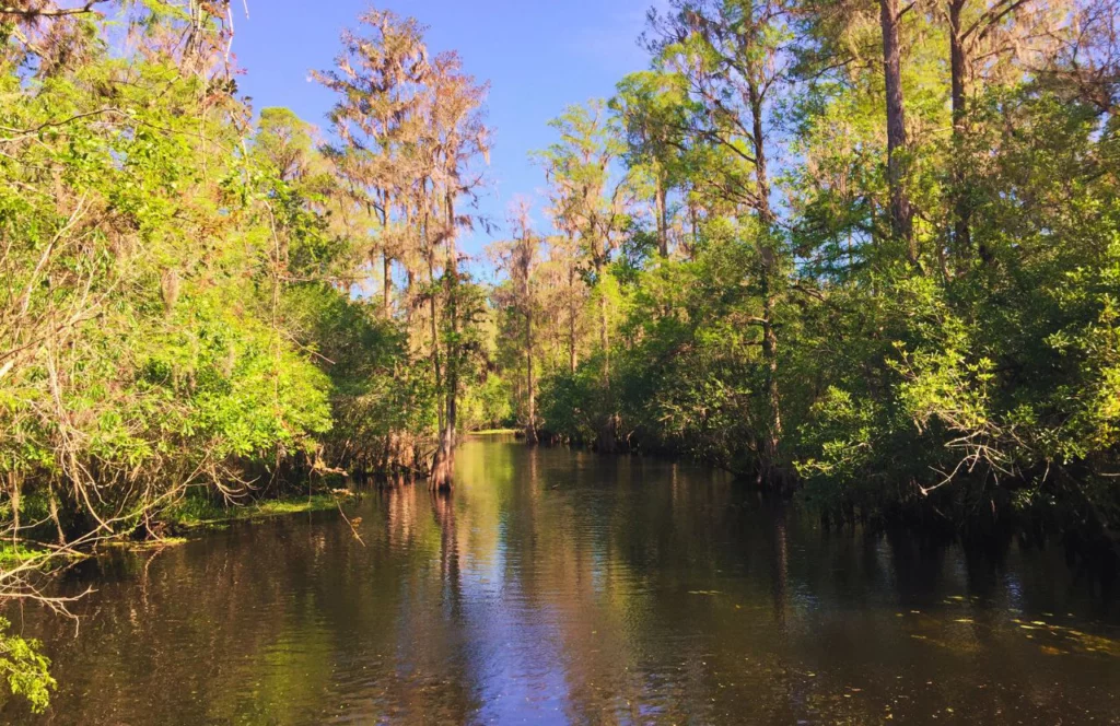 Nature Preserve water way. Keep reading to learn more of what to do in Tampa that is free. 