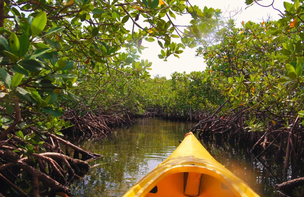 Sharkey's Glass Bottom Tours. One of the best things to do in Treasure Island, Florida. Keep reading for the full guide on the best things to do in Treasure Island, Florida. 