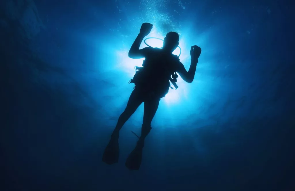 Diver in Dark Scuba Gear. Keep reading to learn about shark watching in Florida and how to avoid attacks