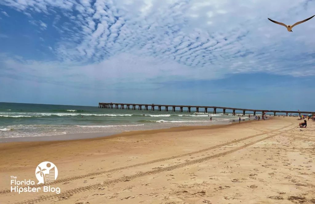 Jacksonville Beach with bird in the sky and pier. Keep reading to get fun and free things to do in Jacksonville, Florida.