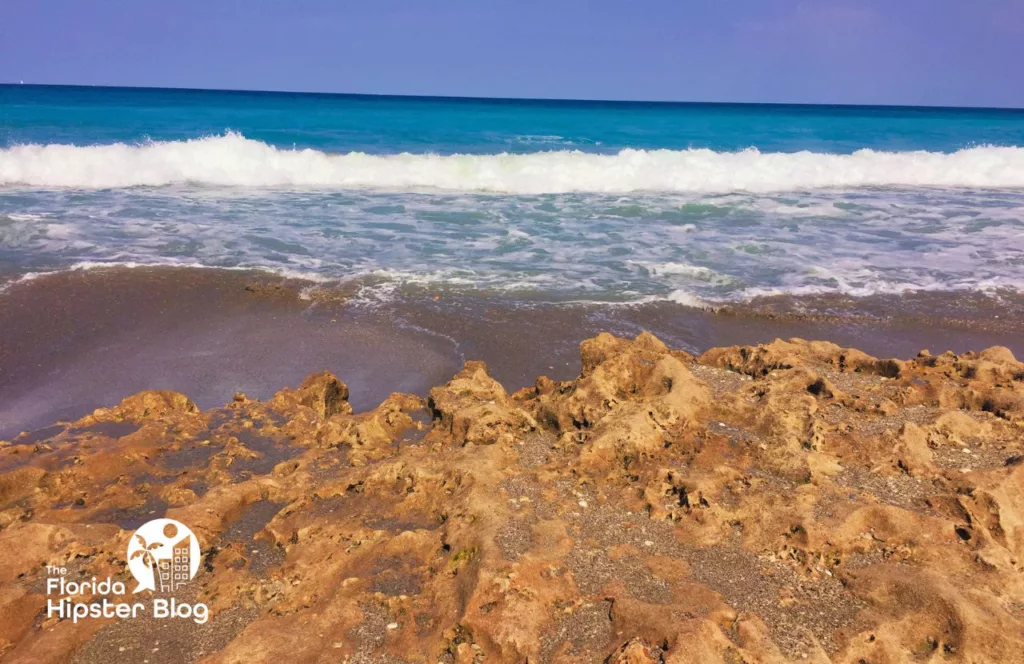 Jupiter Beach Florida Splashing Rocks. Keep reading to learn about shark watching in Florida and how to avoid attacks 