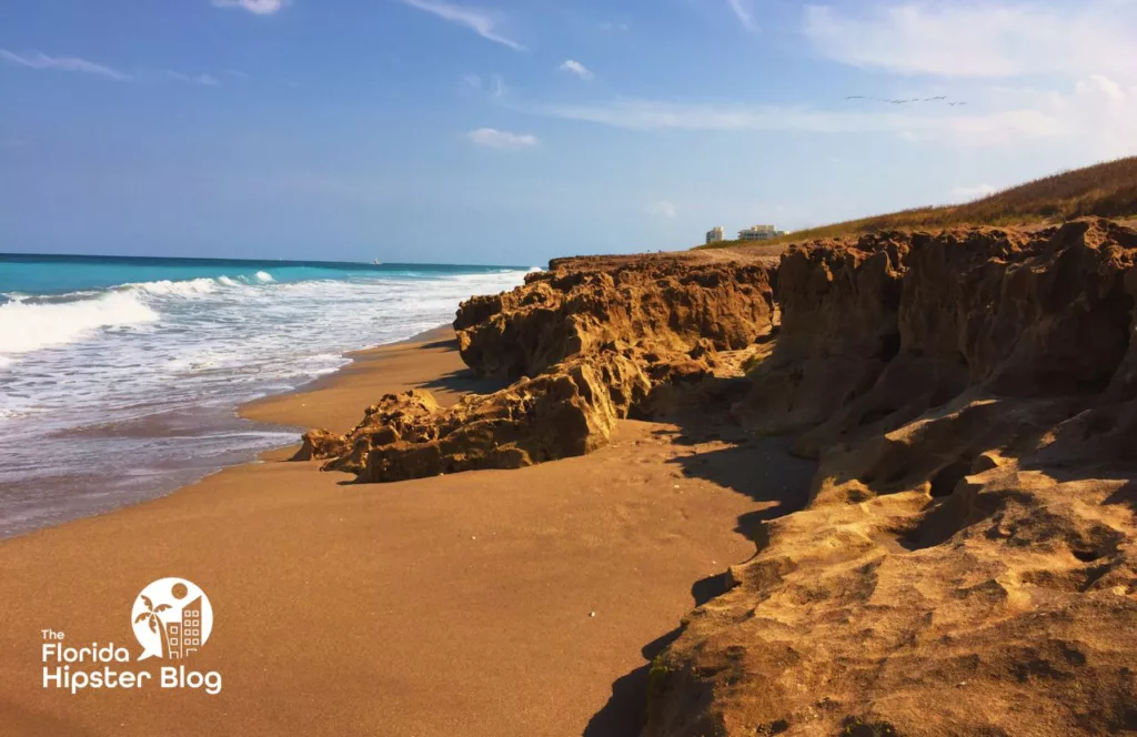 Jupiter Beach Florida Splashing Rocks. Keep reading to learn about shark watching in Florida and how to avoid attacks.