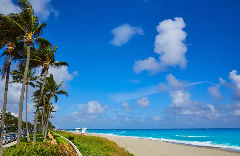 Palm Beach with bright blue skies and bright blue waters with palm trees in the wind. Keep reading to get the best beaches in Florida for bachelorette party.