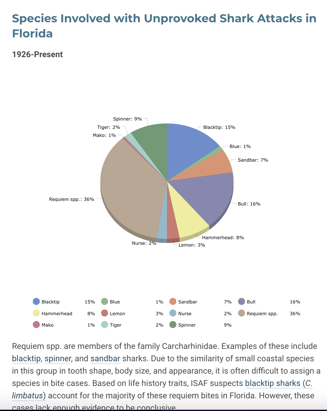 Shark Watching in Florida 2024 Guide Where to Find Them and How to