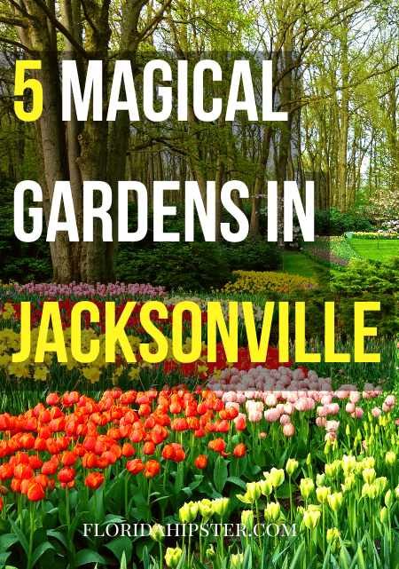 5 Best Gardens In Jacksonville, Florida