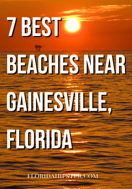 7 Best Beaches Near Gainesville, Florida
