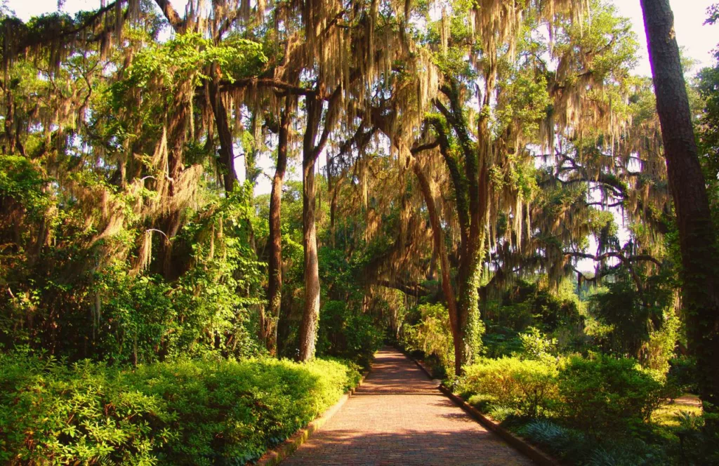Alfred B. Maclay Gardens State Park in Tallahassee, Florida. Keep reading to get the best things to do in the Florida Panhandle